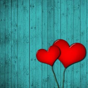 Meet your Posher, Rudi